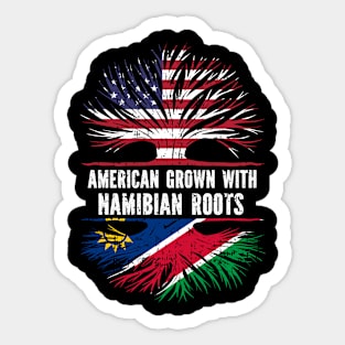 American Grown with Namibian Roots USA Flag Sticker